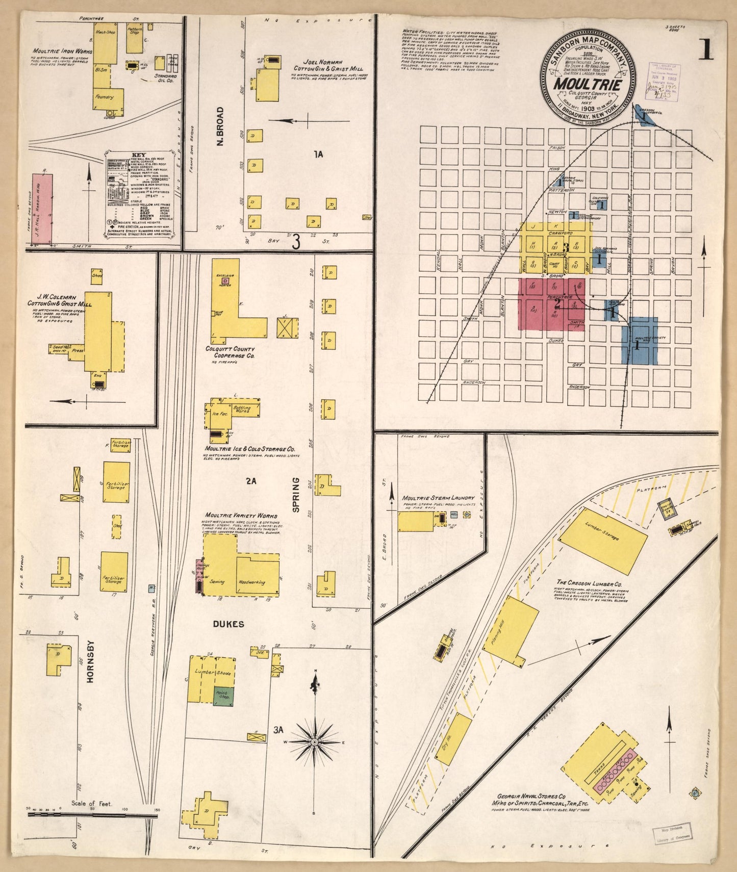 Sanborn Fire Insurance Map from Moultrie, Colquitt County, Georgia (1903), Sheet #0001 - Historic Sanborn Fire Insurance Map Print, vintage old map wall art, antique decor, genealogy gift, Georgia Georgia map