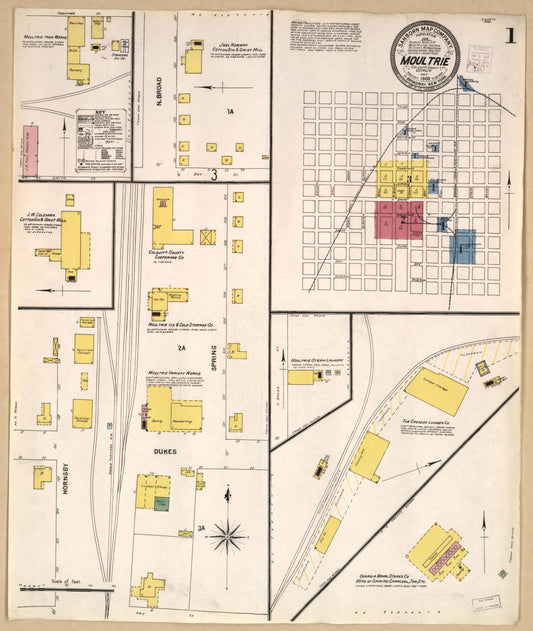 Sanborn Fire Insurance Map from Moultrie, Colquitt County, Georgia (1903), Sheet #0001 - Historic Sanborn Fire Insurance Map Print, vintage old map wall art, antique decor, genealogy gift, Georgia Georgia map