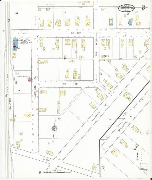 Sanborn Fire Insurance Map from Harrington, Kent County, Delaware (1919), Sheet #0003 - Historic Sanborn Fire Insurance Map Print, vintage old map wall art, antique decor, genealogy gift, Delaware Delaware map