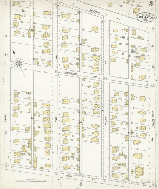 Sanborn Fire Insurance Map from Los Gatos, Santa Clara County, California (1904), Sheet #0003 - Historic Sanborn Fire Insurance Map Print, vintage old map wall art, antique decor, genealogy gift, California California map