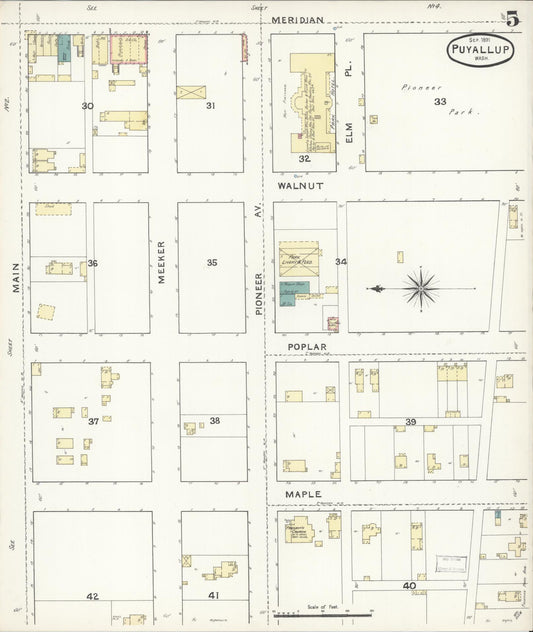 Sanborn Fire Insurance Map from Puyallup, Pierce County, Washington (1891), Sheet #0005 - Historic Sanborn Fire Insurance Map Print, vintage old map wall art, antique decor, genealogy gift, Washington Washington map