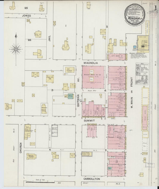 Sanborn Fire Insurance Map from Winona, Montgomery County, Mississippi (1889), Sheet #0001 - Historic Sanborn Fire Insurance Map Print, vintage old map wall art, antique decor, genealogy gift, Mississippi Mississippi map