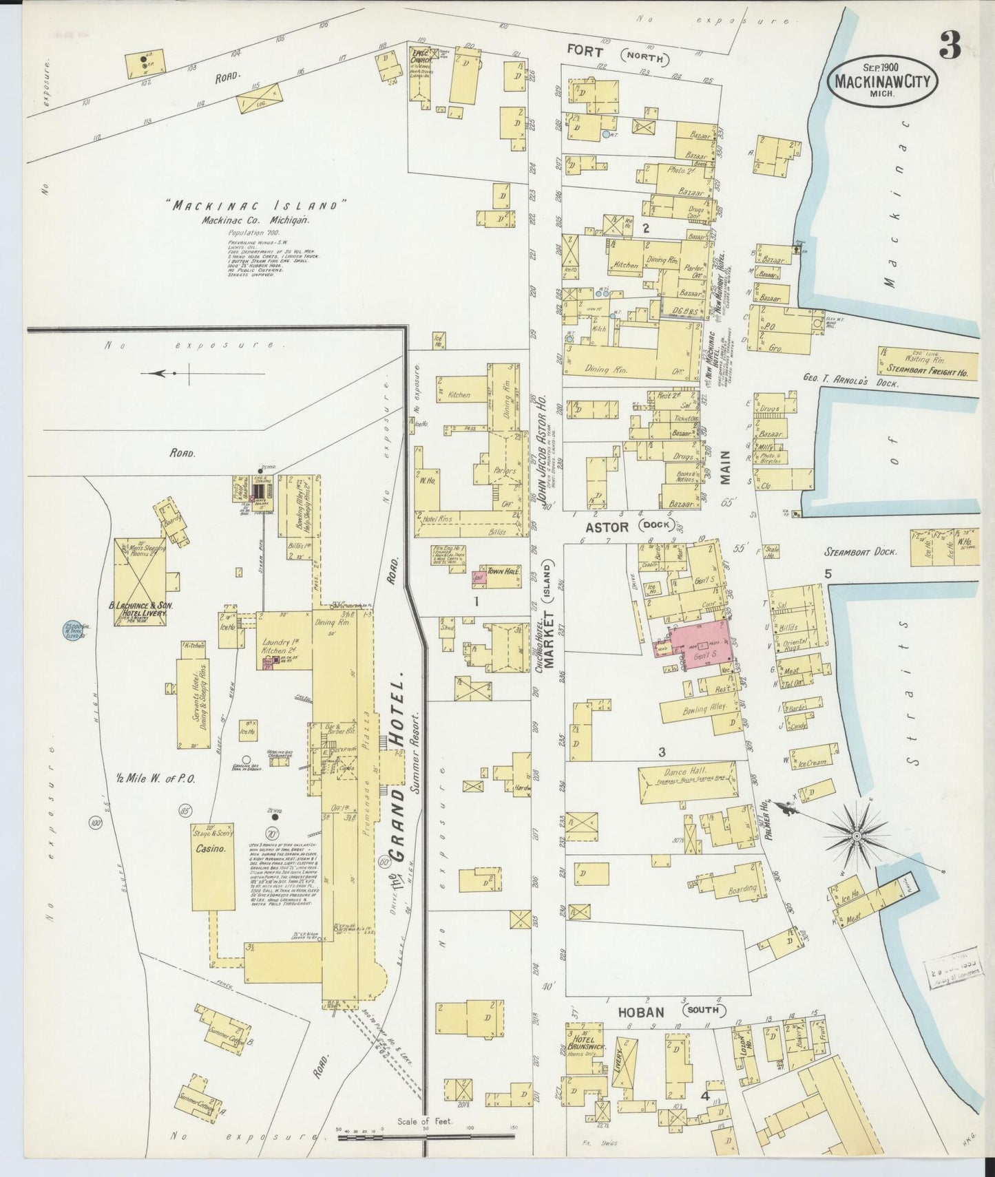 Sanborn Fire Insurance Map from Mackinaw City, Cheboygan County, Michigan (1900), Sheet #0003 - Complete Map Set gallery image, historic Sanborn map, vintage wall art, Michigan Michigan