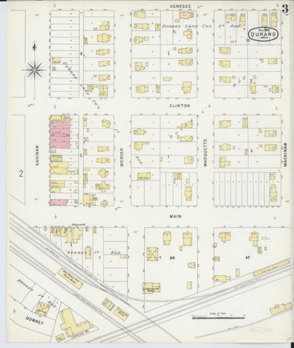 Sanborn Fire Insurance Map from Durand, Shiawassee County, Michigan (1896), Sheet #0003 - Historic Sanborn Fire Insurance Map Print, vintage old map wall art, antique decor, genealogy gift, Michigan Michigan map
