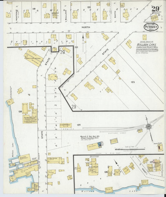 Sanborn Fire Insurance Map from Petoskey, Emmet County, Michigan (1919), Sheet #0029 - Historic Sanborn Fire Insurance Map Print, vintage old map wall art, antique decor, genealogy gift, Michigan Michigan map