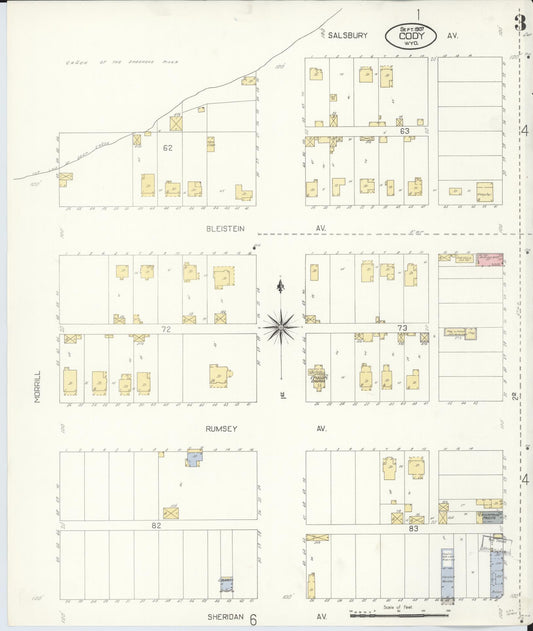 Sanborn Fire Insurance Map from Cody, Park County, Wyoming (1907), Sheet #0003 - Historic Sanborn Fire Insurance Map Print, vintage old map wall art, antique decor, genealogy gift, Wyoming Wyoming map