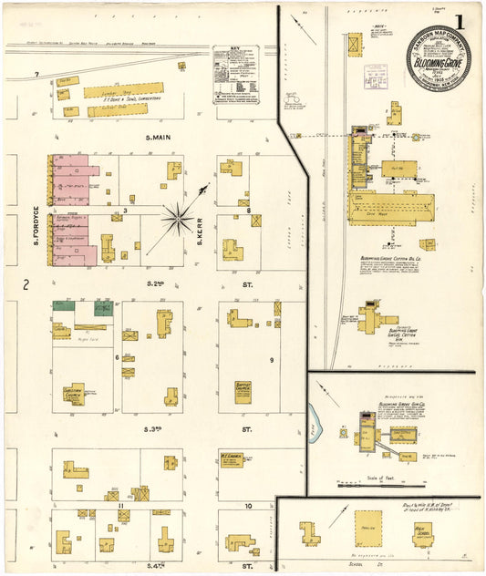 Sanborn Fire Insurance Map from Blooming Grove, Navarro County, Texas (1905), Sheet #0001 - Historic Sanborn Fire Insurance Map Print, vintage old map wall art, antique decor, genealogy gift, Texas Texas map