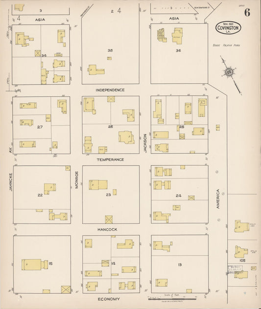 Sanborn Fire Insurance Map from Covington, Saint Tammany Parish, Louisiana (1921), Sheet #0006 - Historic Sanborn Fire Insurance Map Print, vintage old map wall art, antique decor, genealogy gift, Louisiana Louisiana map