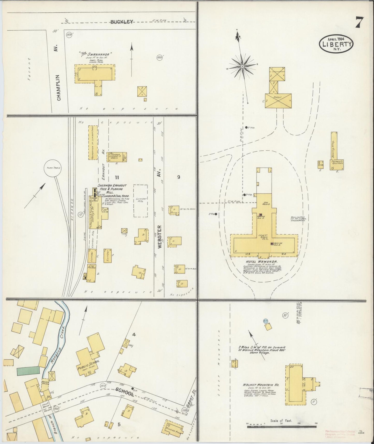 Sanborn Fire Insurance Map from Liberty, Sullivan County, New York (1904), Sheet #0007 - Complete Map Set gallery image, historic Sanborn map, vintage wall art, New York New York