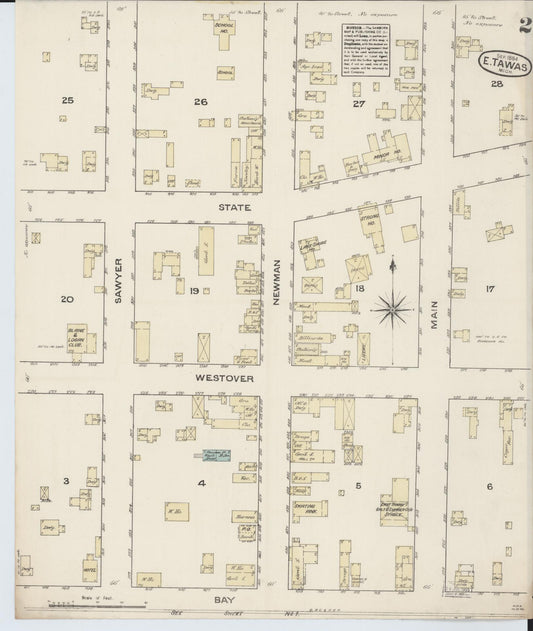 Sanborn Fire Insurance Map from East Tawas, Iosco County, Michigan (1884), Sheet #0002 - Historic Sanborn Fire Insurance Map Print, vintage old map wall art, antique decor, genealogy gift, Michigan Michigan map