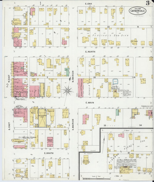 Sanborn Fire Insurance Map from Carbondale, Jackson County, Illinois (1899), Sheet #0003 - Historic Sanborn Fire Insurance Map Print, vintage old map wall art, antique decor, genealogy gift, Illinois Illinois map