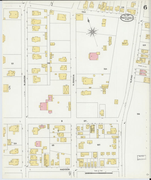 Sanborn Fire Insurance Map from Natchez, Adams County, Mississippi (1904), Sheet #0006 - Historic Sanborn Fire Insurance Map Print, vintage old map wall art, antique decor, genealogy gift, Mississippi Mississippi map