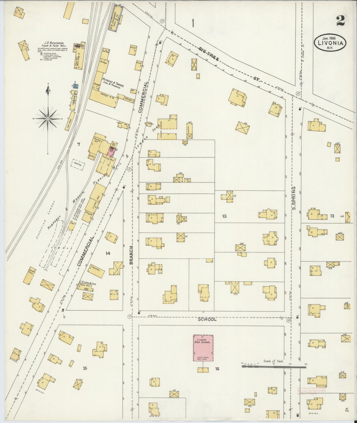 Sanborn Fire Insurance Map from Livonia, Livingston County, New York (1906), Sheet #0002 - Complete Map Set gallery image, historic Sanborn map, vintage wall art, New York New York