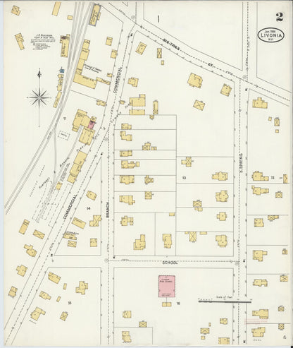 Sanborn Fire Insurance Map from Livonia, Livingston County, New York (1906), Sheet #0002 - Complete Map Set gallery image, historic Sanborn map, vintage wall art, New York New York