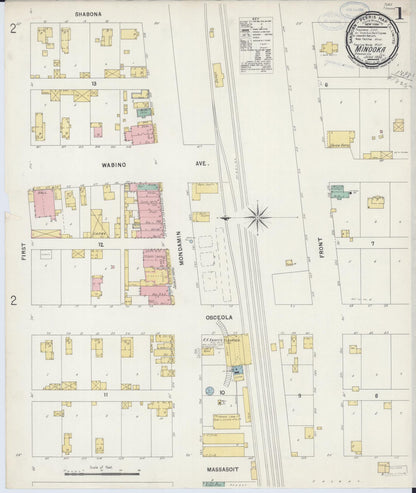 Sanborn Fire Insurance Map from Minooka, Grundy County, Illinois (1898), Sheet #0001 - Historic Sanborn Fire Insurance Map Print, vintage old map wall art, antique decor, genealogy gift, Illinois Illinois map