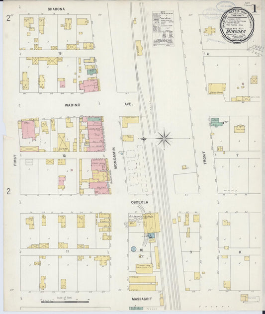 Sanborn Fire Insurance Map from Minooka, Grundy County, Illinois (1898), Sheet #0001 - Historic Sanborn Fire Insurance Map Print, vintage old map wall art, antique decor, genealogy gift, Illinois Illinois map