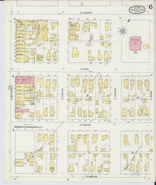 Sanborn Fire Insurance Map from Cadillac, Wexford County, Michigan (1895), Sheet #0006 - Historic Sanborn Fire Insurance Map Print, vintage old map wall art, antique decor, genealogy gift, Michigan Michigan map