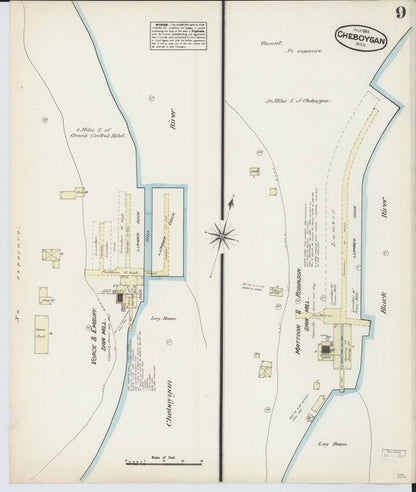 Sanborn Fire Insurance Map from Cheboygan, Cheboygan County, Michigan (1884), Sheet #0009 - Complete Map Set gallery image, historic Sanborn map, vintage wall art, Michigan Michigan