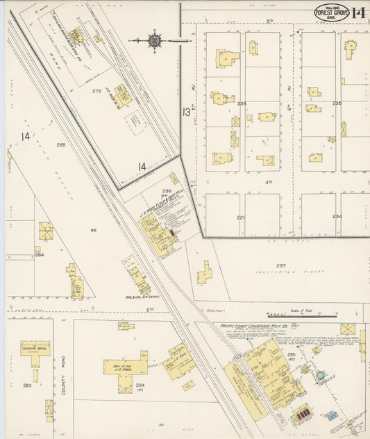 Sanborn Fire Insurance Map from Forest Grove, Washington County, Oregon (1912), Sheet #0014 - Historic Sanborn Fire Insurance Map Print, vintage old map wall art, antique decor, genealogy gift, Oregon Oregon map