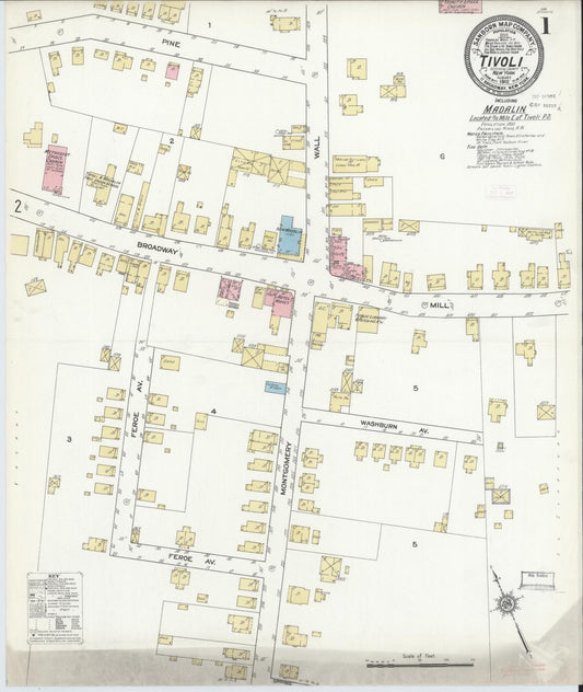 Sanborn Fire Insurance Map from Tivoli, Dutchess County, New York (1912), Sheet #0001 - Historic Sanborn Fire Insurance Map Print, vintage old map wall art, antique decor, genealogy gift, New York New York map
