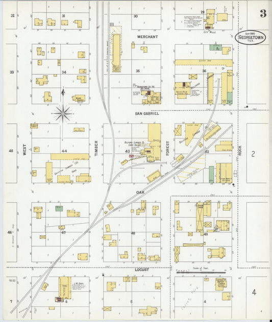 Sanborn Fire Insurance Map from Georgetown, Williamson County, Texas (1900), Sheet #0003 - Historic Sanborn Fire Insurance Map Print, vintage old map wall art, antique decor, genealogy gift, Texas Texas map