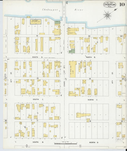 Sanborn Fire Insurance Map from Cheboygan, Cheboygan County, Michigan (1900), Sheet #0010 - Complete Map Set gallery image, historic Sanborn map, vintage wall art, Michigan Michigan
