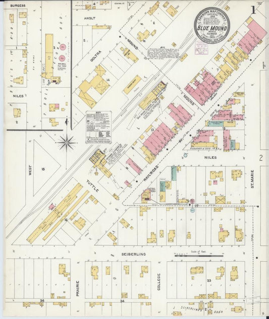 Sanborn Fire Insurance Map from Blue Mound, Macon County, Illinois. (1905) – Map View