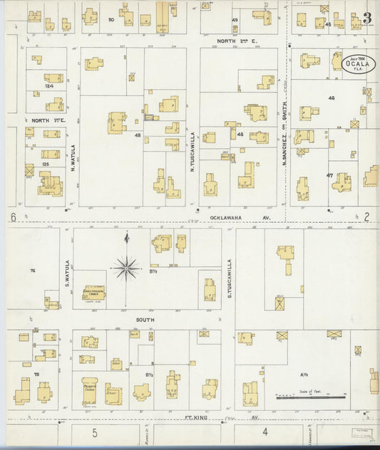 Sanborn Fire Insurance Map from Ocala, Marion County, Florida (1906), Sheet #0003 - Historic Sanborn Fire Insurance Map Print, vintage old map wall art, antique decor, genealogy gift, Florida Florida map