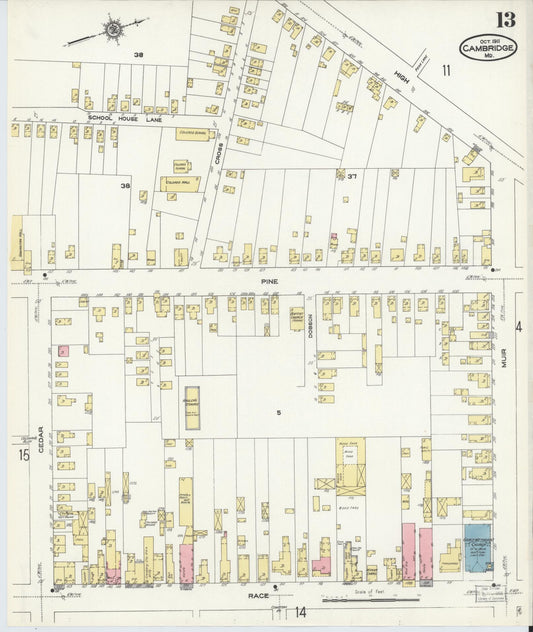 Sanborn Fire Insurance Map from Cambridge, Dorchester County, Maryland (1911), Sheet #0013 - Historic Sanborn Fire Insurance Map Print, vintage old map wall art, antique decor, genealogy gift, Maryland Maryland map