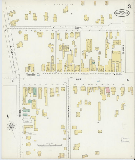Sanborn Fire Insurance Map from Monticello, Sullivan County, New York (1897), Sheet #0003 - Historic Sanborn Fire Insurance Map Print, vintage old map wall art, antique decor, genealogy gift, New York New York map