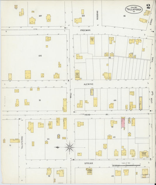 Sanborn Fire Insurance Map from Tallapoosa, Haralson County, Georgia (1903), Sheet #0002 - Historic Sanborn Fire Insurance Map Print, vintage old map wall art, antique decor, genealogy gift, Georgia Georgia map