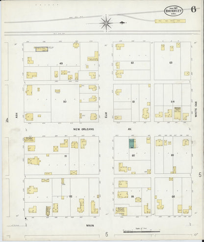 Sanborn Fire Insurance Map from Brinkley, Monroe County, Arkansas (1907), Sheet #0006 - Complete Map Set gallery image, historic Sanborn map, vintage wall art, Arkansas Arkansas