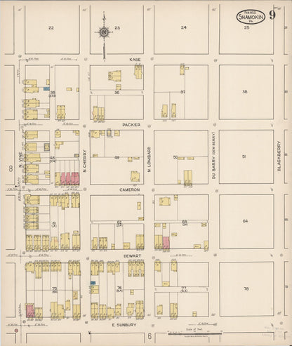 Sanborn Fire Insurance Map from Shamokin, Northumberland County, Pennsylvania (1922), Sheet #0009 - Historic Sanborn Fire Insurance Map Print, vintage old map wall art, antique decor, genealogy gift, Pennsylvania Pennsylvania map