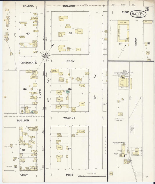 Sanborn Fire Insurance Map from Hailey, Blaine County, Idaho (1888), Sheet #0003 - Historic Sanborn Fire Insurance Map Print, vintage old map wall art, antique decor, genealogy gift, Idaho Idaho map