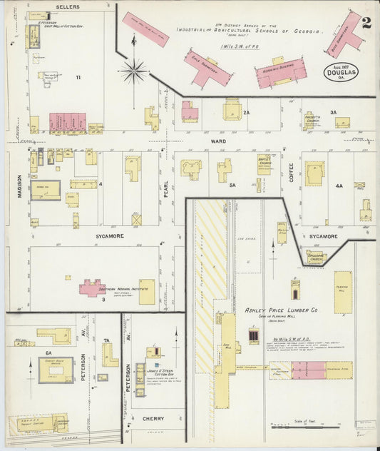 Sanborn Fire Insurance Map from Douglas, Coffee County, Georgia (1907), Sheet #0002 - Historic Sanborn Fire Insurance Map Print, vintage old map wall art, antique decor, genealogy gift, Georgia Georgia map