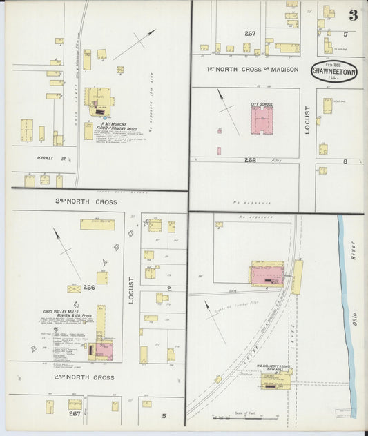 Sanborn Fire Insurance Map from Shawneetown, Gallatin County, Illinois (1893), Sheet #0003 - Historic Sanborn Fire Insurance Map Print, vintage old map wall art, antique decor, genealogy gift, Illinois Illinois map