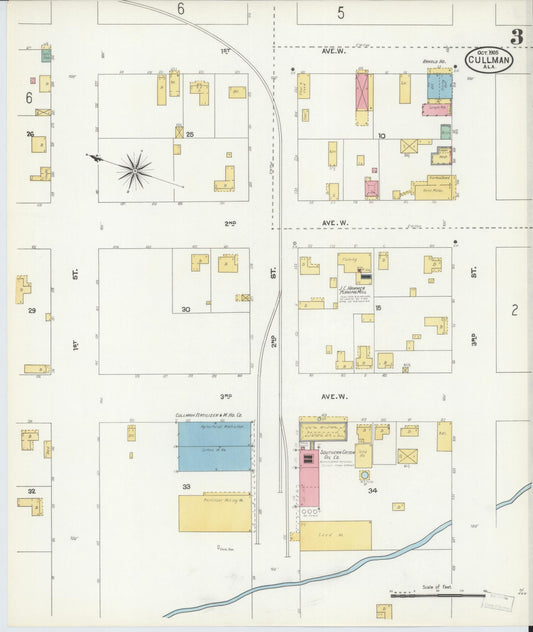 Sanborn Fire Insurance Map from Cullman, Cullman County, Alabama (1905), Sheet #0003 - Historic Sanborn Fire Insurance Map Print, vintage old map wall art, antique decor, genealogy gift, Alabama Alabama map