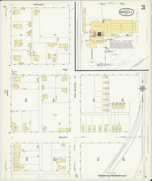 Sanborn Fire Insurance Map from Brinkley, Monroe County, Arkansas (1913), Sheet #0003 - Historic Sanborn Fire Insurance Map Print, vintage old map wall art, antique decor, genealogy gift, Arkansas Arkansas map