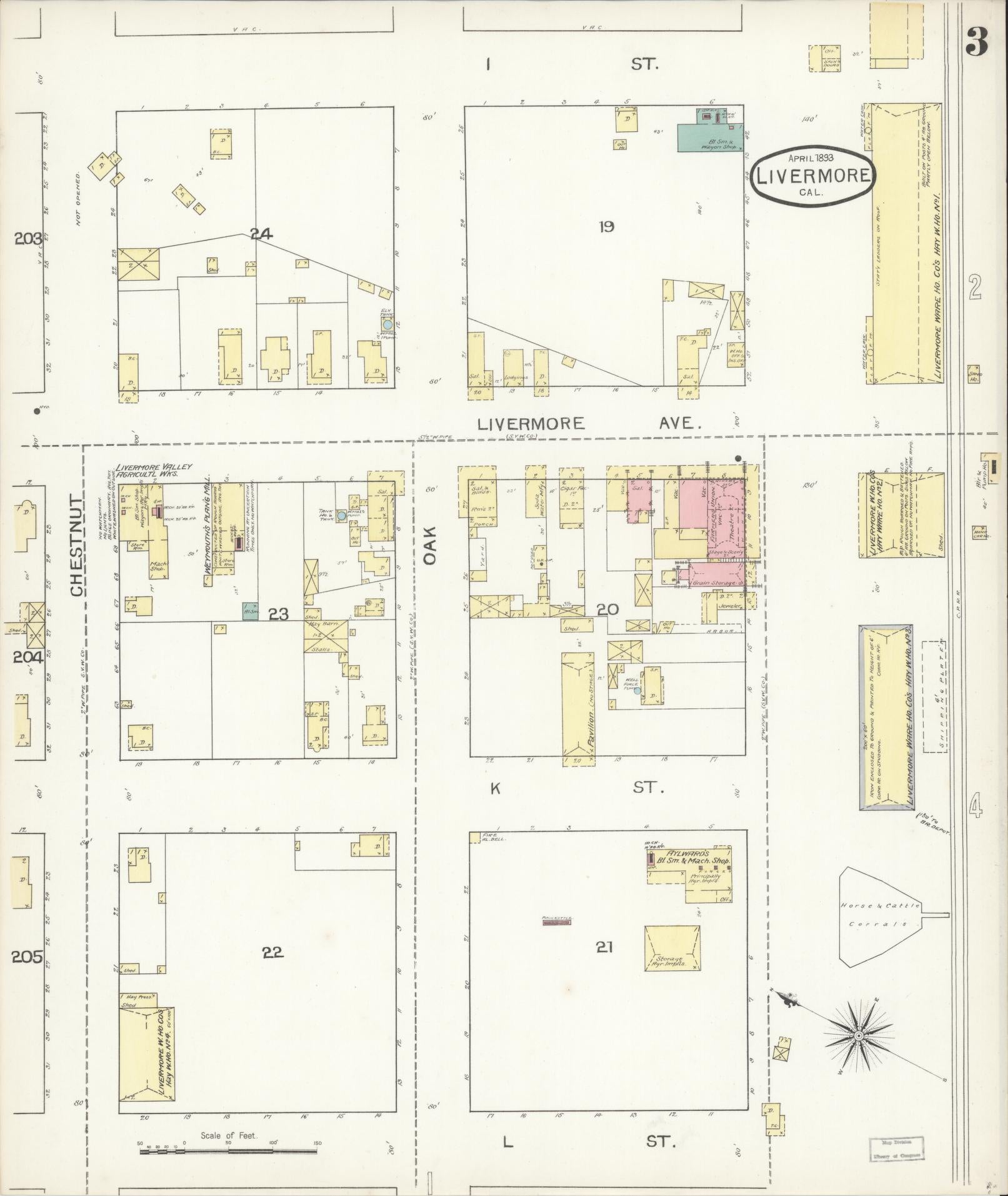 Sanborn Fire Insurance Map from Livermore, Alameda County, California (1893), Sheet #0003 - Historic Sanborn Fire Insurance Map Print, vintage old map wall art, antique decor, genealogy gift, California California map