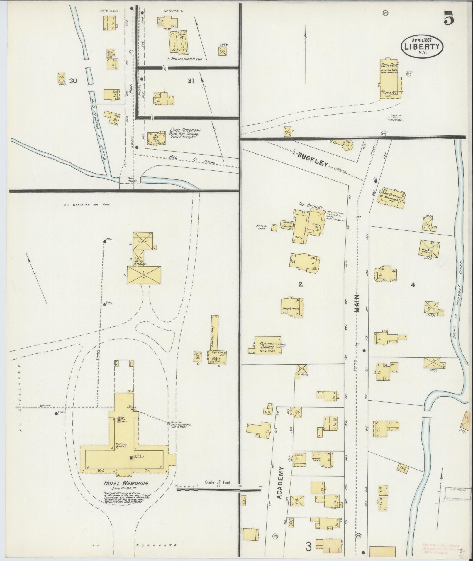 Sanborn Fire Insurance Map from Liberty, Sullivan County, New York (1897), Sheet #0005 - Historic Sanborn Fire Insurance Map Print, vintage old map wall art, antique decor, genealogy gift, New York New York map