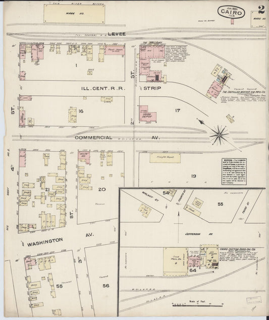 Sanborn Fire Insurance Map from Cairo, Alexander County, Illinois (1885), Sheet #0002 - Historic Sanborn Fire Insurance Map Print, vintage old map wall art, antique decor, genealogy gift, Illinois Illinois map