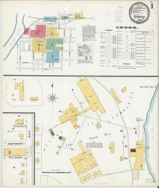 Sanborn Fire Insurance Map from Bainbridge, Decatur County, Georgia (1900), Sheet #0001 - Complete Map Set gallery image, historic Sanborn map, vintage wall art, Georgia Georgia
