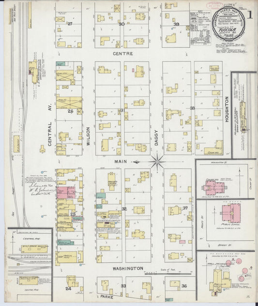 Sanborn Fire Insurance Map from Tuscola, Douglas County, Illinois (1892), Sheet #0001 - Complete Map Set gallery image, historic Sanborn map, vintage wall art, Illinois Illinois