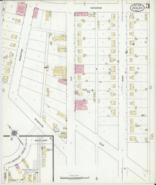 Sanborn Fire Insurance Map from Zeigler, Franklin County, Illinois (1921), Sheet #0003 - Historic Sanborn Fire Insurance Map Print, vintage old map wall art, antique decor, genealogy gift, Illinois Illinois map