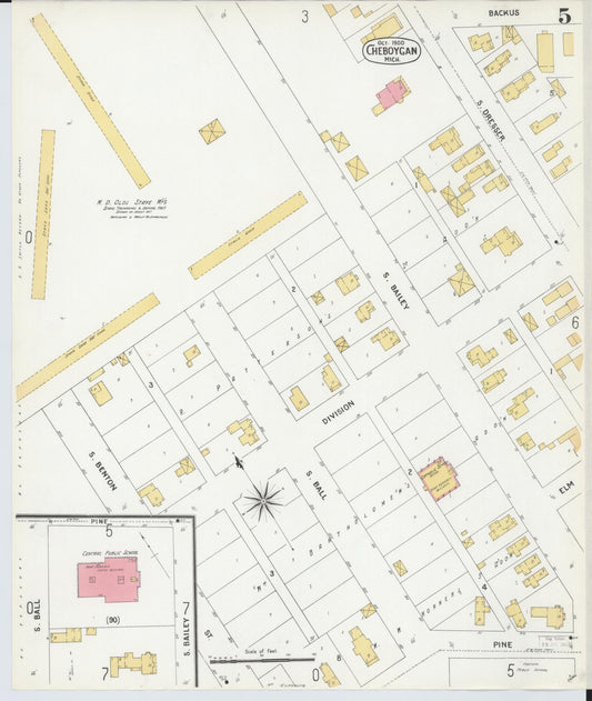 Sanborn Fire Insurance Map from Cheboygan, Cheboygan County, Michigan (1900), Sheet #0005 - Historic Sanborn Fire Insurance Map Print, vintage old map wall art, antique decor, genealogy gift, Michigan Michigan map