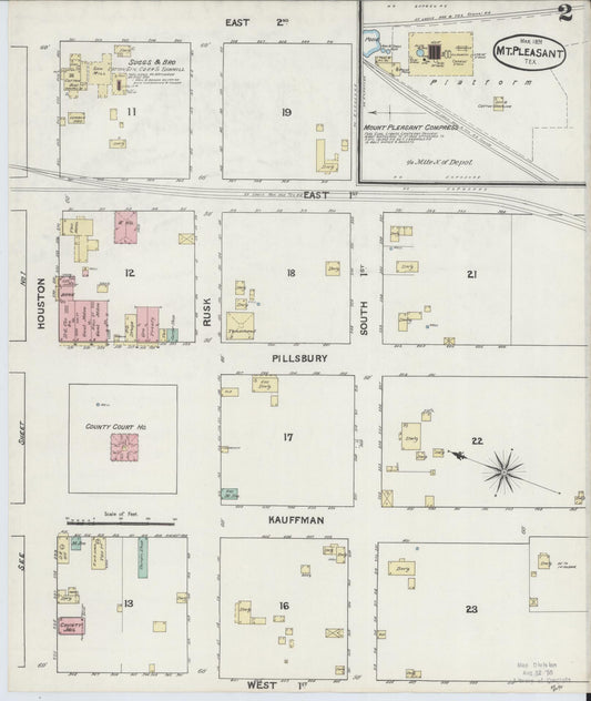 Sanborn Fire Insurance Map from Mount Pleasant, Titus County, Texas (1891), Sheet #0002 - Historic Sanborn Fire Insurance Map Print, vintage old map wall art, antique decor, genealogy gift, Texas Texas map