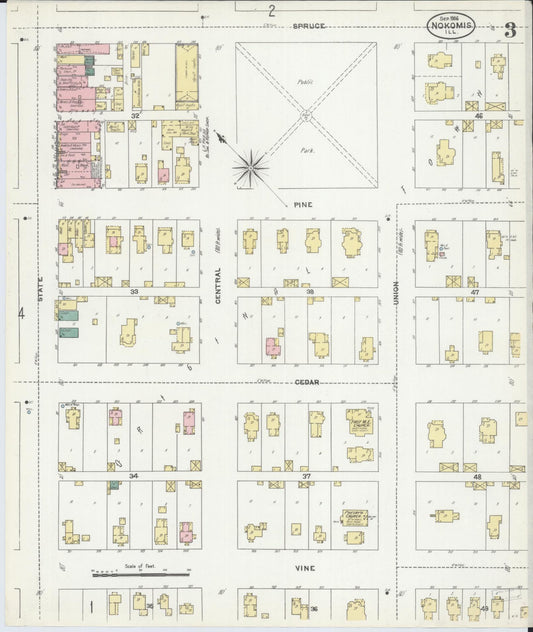 Sanborn Fire Insurance Map from Nokomis, Montgomery County, Illinois (1906), Sheet #0003 - Historic Sanborn Fire Insurance Map Print, vintage old map wall art, antique decor, genealogy gift, Illinois Illinois map