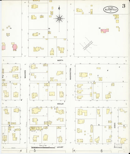 Sanborn Fire Insurance Map from Bloomfield, Davis County, Iowa (1907), Sheet #0003 - Historic Sanborn Fire Insurance Map Print