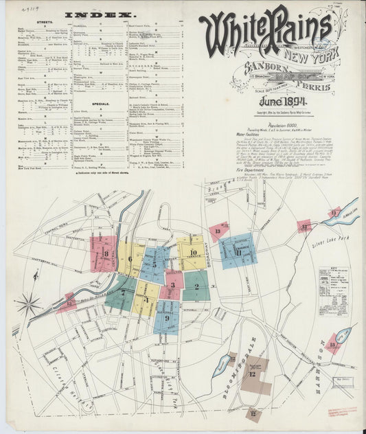 Sanborn Fire Insurance Map from White Plains, Westchester County, New York (1894), Sheet #0001 - Historic Sanborn Fire Insurance Map Print, vintage old map wall art, antique decor, genealogy gift, New York New York map