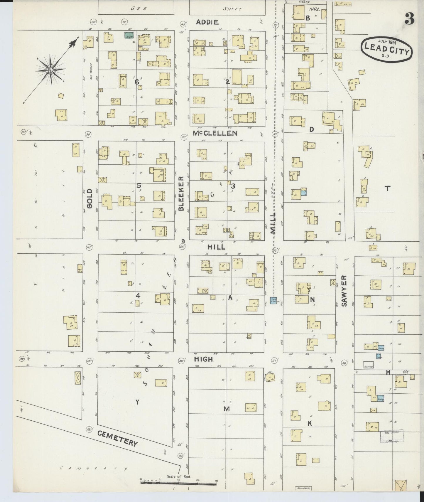 Sanborn Fire Insurance Map from Lead, Lawrence County, South Dakota (1891), Sheet #0003 - Historic Sanborn Fire Insurance Map Print, vintage old map wall art, antique decor, genealogy gift, South Dakota South Dakota map